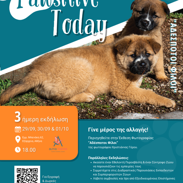 Pylones Hellas: Όταν ο κλάδος συναντάει την ευαισθησία