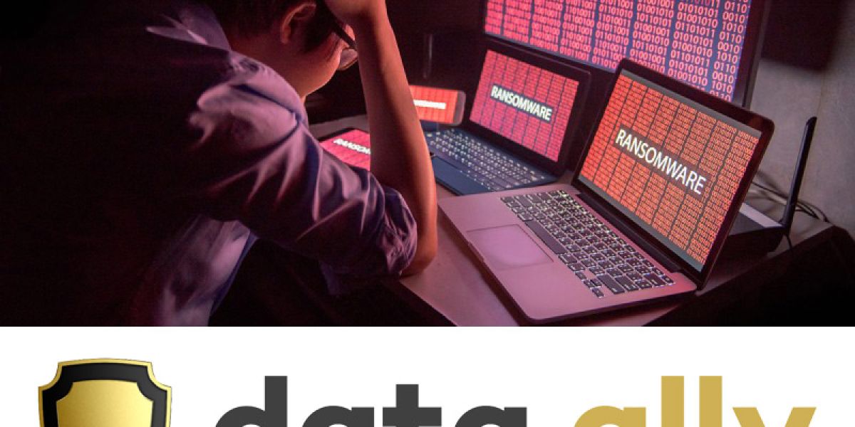 Data Ally: Πώς σταματούν οι εξελιγμένες επιθέσεις ransomware