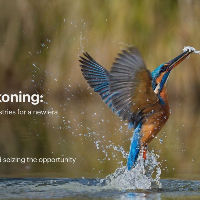 Οι ευρωπαϊκές επιχειρήσεις δεν αξιοποιούν πλήρως την ΤΝ