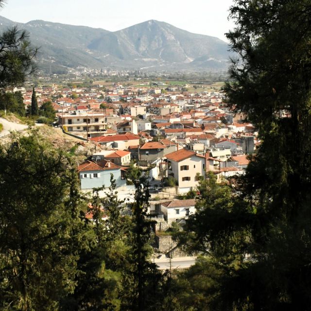 Ο Δ. Ελασσόνας μετατρέπεται σε έξυπνη πόλη