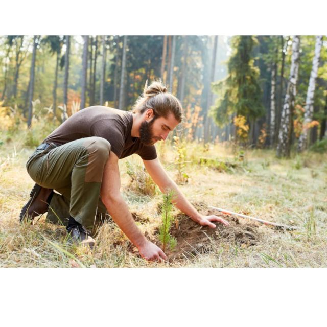 Ανάδοχος αποκατάστασης της Ιεράς Μονής Πεντέλης η Nova