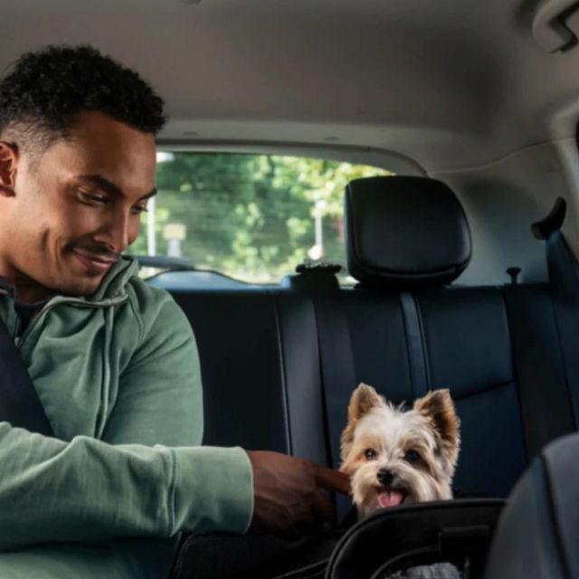 Το Uber Taxi Pet έφτασε στην Ελλάδα