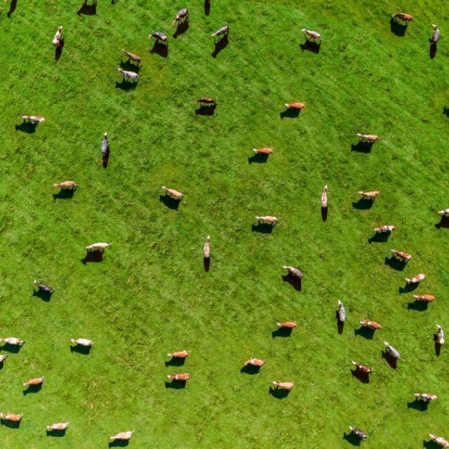 MyFarmWeb για πιο βιώσιμη γεωργία στην Ευρώπη