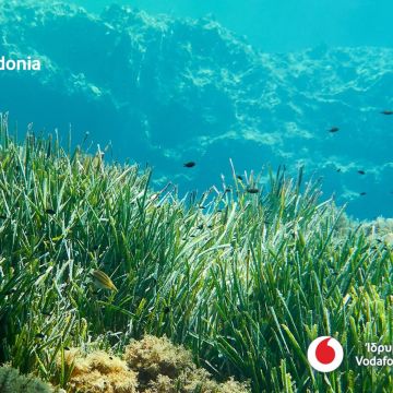 Οι επισκέπτες του MWC εξερεύνησαν το Vodafone Posidonia