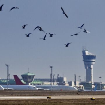 Η Intertech εγκαθιστά ραντάρ εντοπισμού πτηνών στα αεροδρόμια