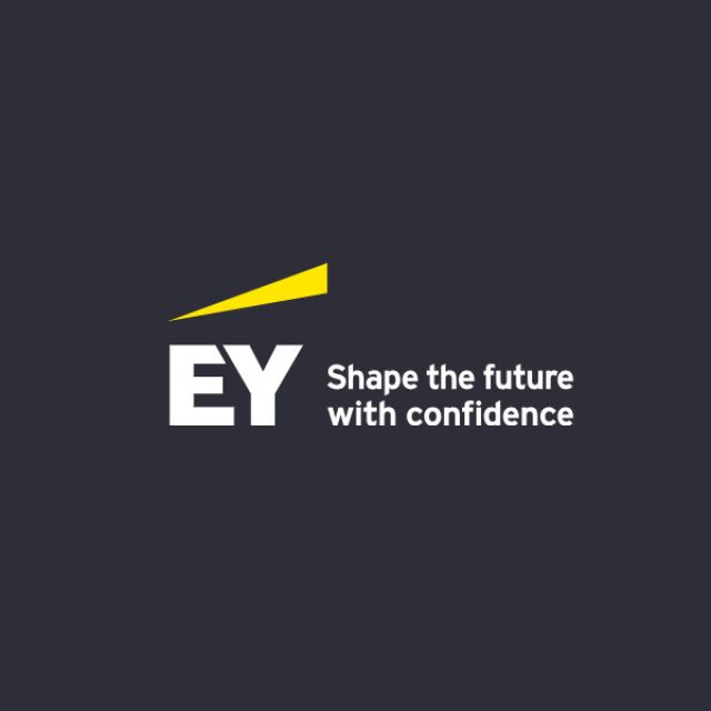 Η EY αναζητά Digital & Technology Risk Consultant