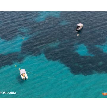 Παρουσίαση του Vodafone Posidonia στην Επιτροπή Περιβάλλοντος της Βουλής