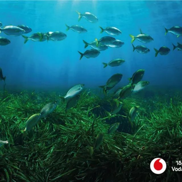 Το Vodafone Posidonia στην έκθεση Art Athina